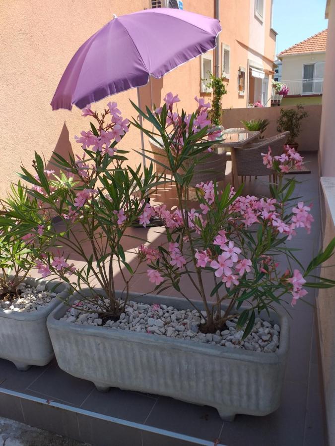 זאדאר Apartment Yelena Rose West מראה חיצוני תמונה