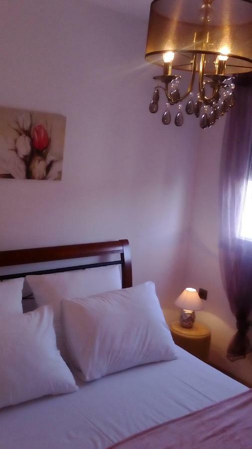 זאדאר Apartment Yelena Rose West מראה חיצוני תמונה