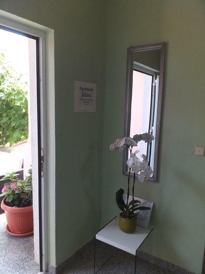 זאדאר Apartment Yelena Rose West מראה חיצוני תמונה