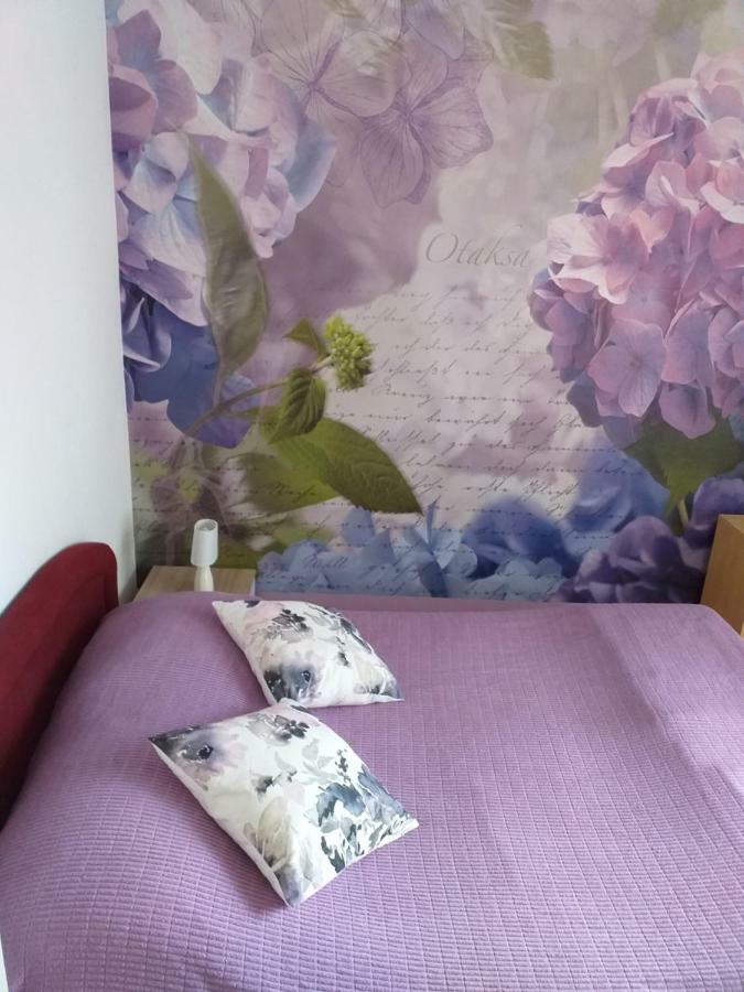 זאדאר Apartment Yelena Rose West מראה חיצוני תמונה