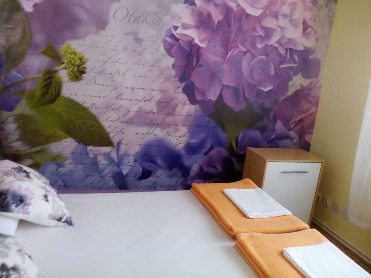 זאדאר Apartment Yelena Rose West מראה חיצוני תמונה
