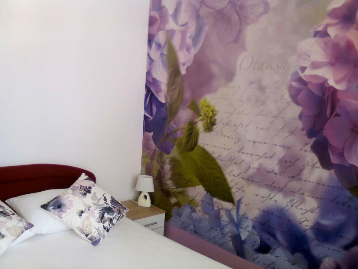 זאדאר Apartment Yelena Rose West מראה חיצוני תמונה
